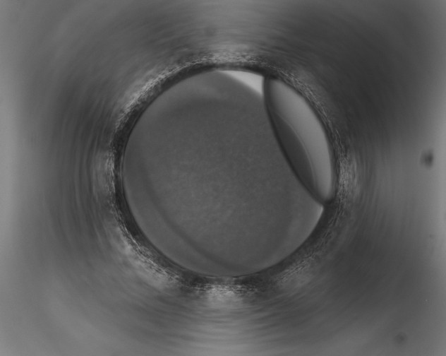 X0000114580684200911301335