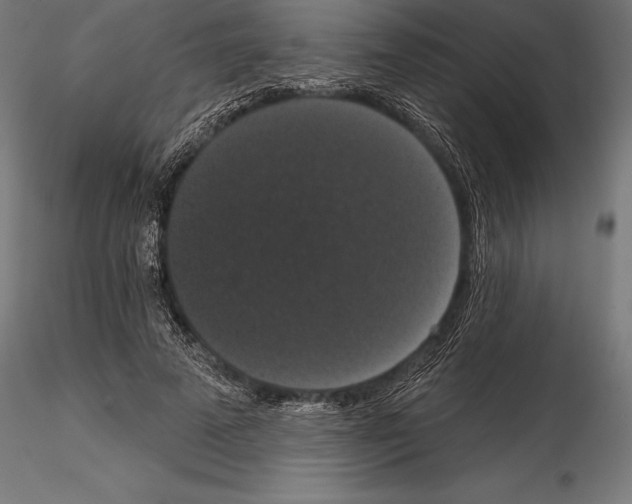 X0000114580689200911301335