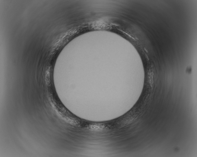 X0000114580690200911301335