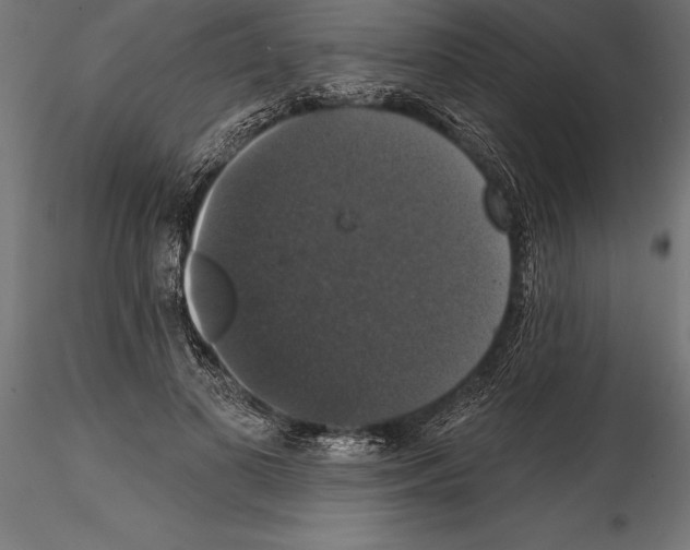 X0000114580693200911301335