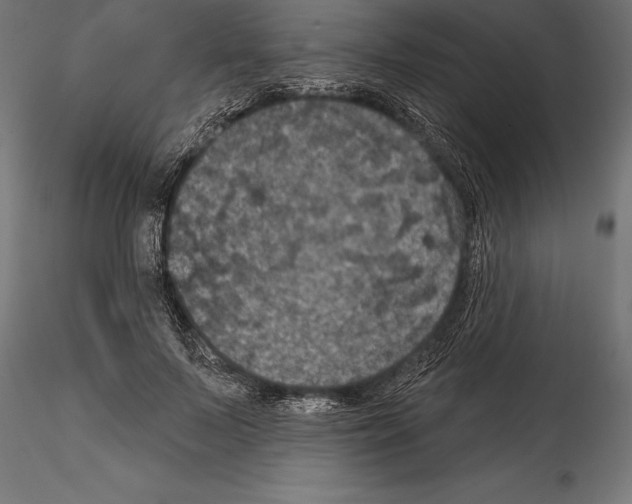 X0000114580695200911301335