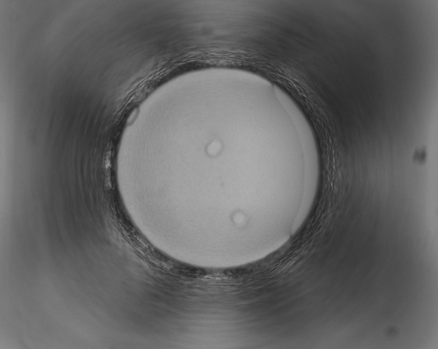 X0000114580696200911301335