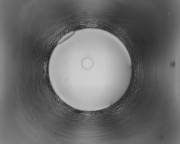 X0000114580697200911301335