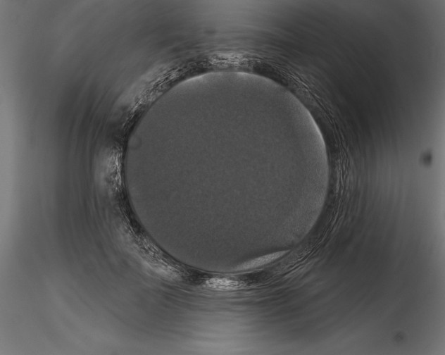 X0000114580699200911301335