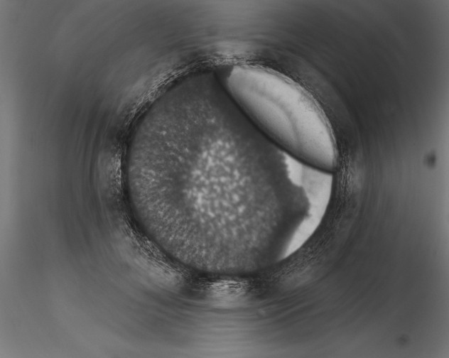 X0000114580700200911301335