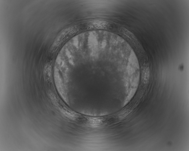 X0000114580701200911301335