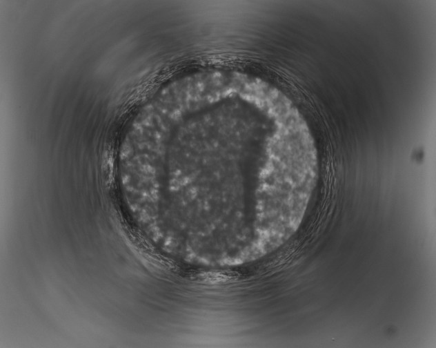 X0000114580703200911301335