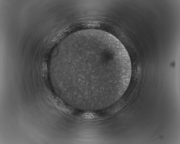 X0000114580704200911301335