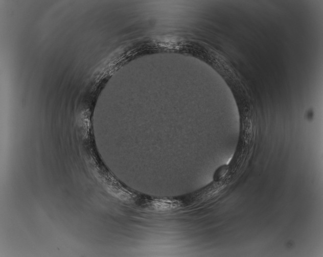 X0000114580707200911301335