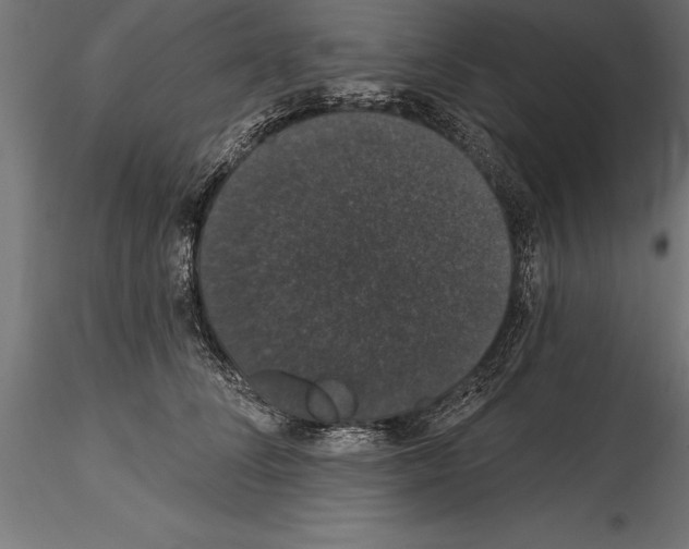 X0000114580708200911301335