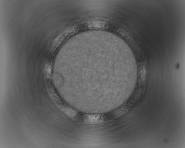 X0000114580709200911301335