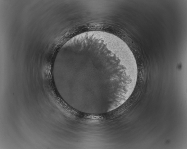 X0000114580711200911301335