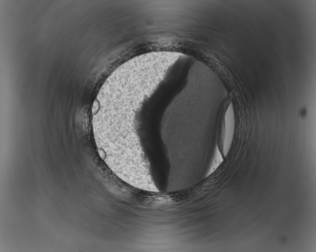 X0000114580715200911301335