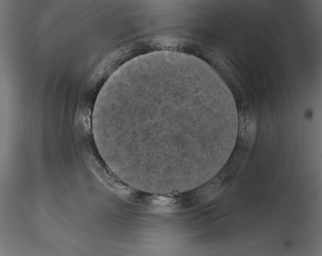 X0000114580718200911301334