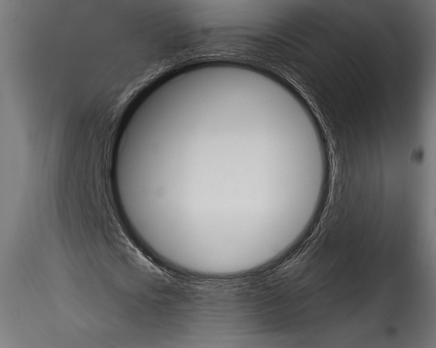 X0000114580721200911301334