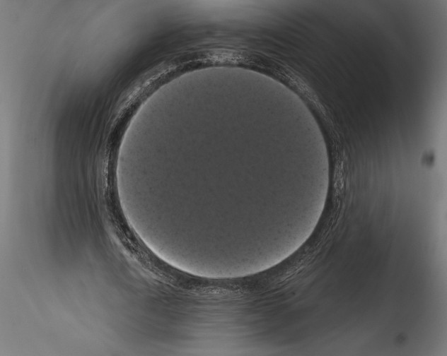 X0000114580722200911301334