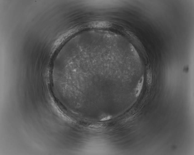 X0000114580725200911301334