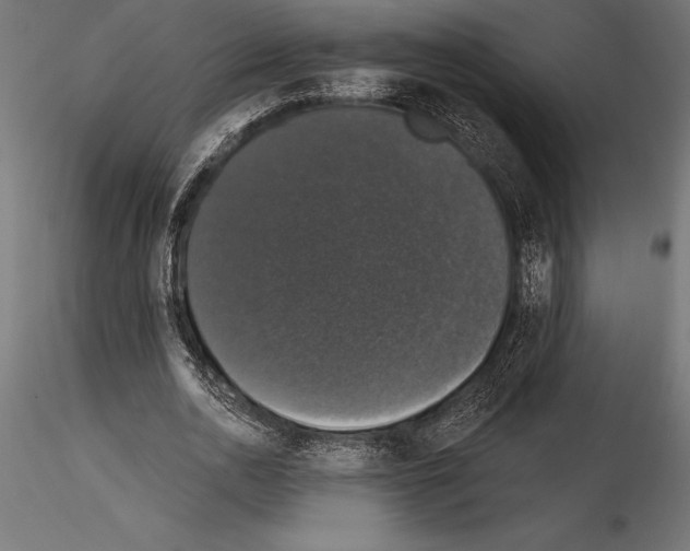 X0000114580726200911301334