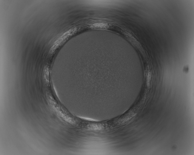 X0000114580729200911301334