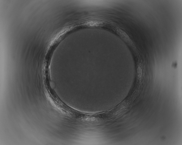 X0000114580730200911301334