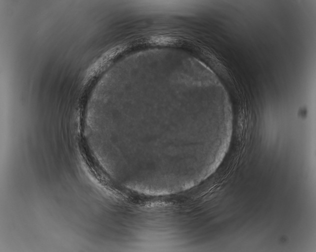 X0000114580734200911301334