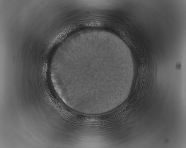 X0000114580735200911301334