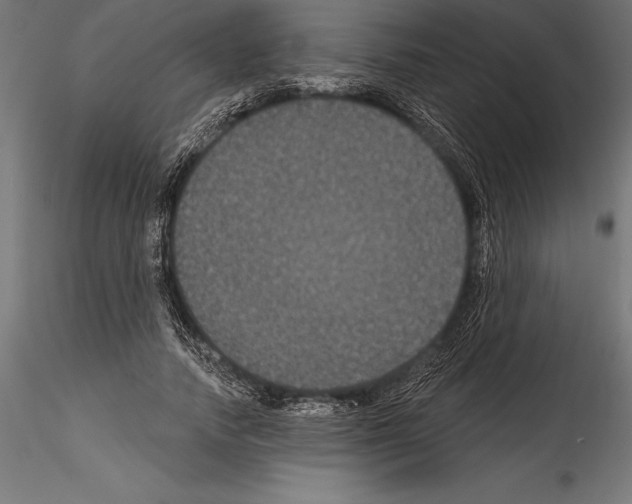 X0000114580738200911301334