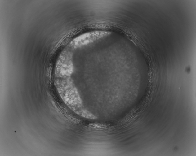 X0000114580739200911301334