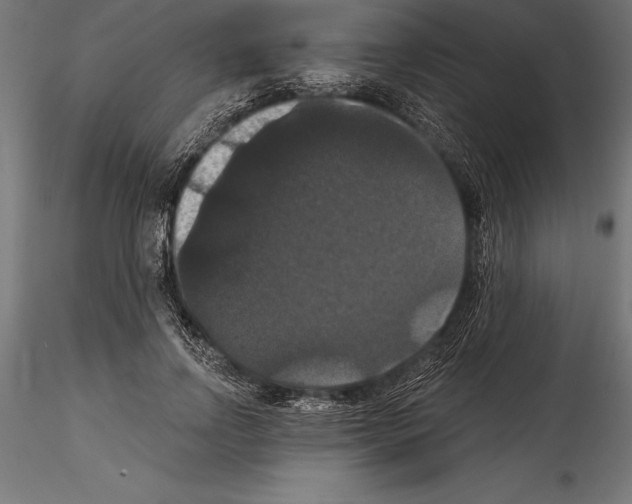 X0000114580742200911301334