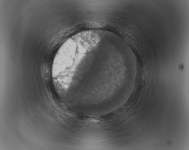 X0000114580743200911301334