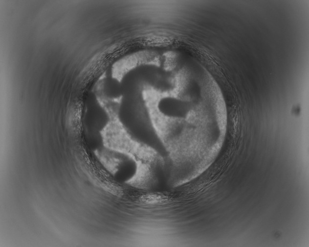 X0000114580745200911301334