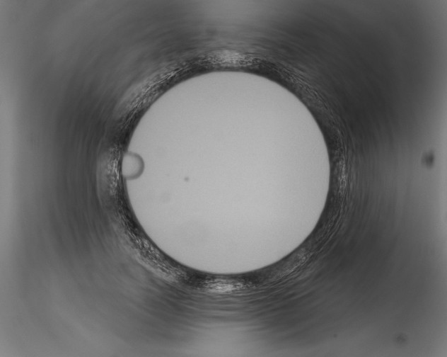 X0000114580746200911301334