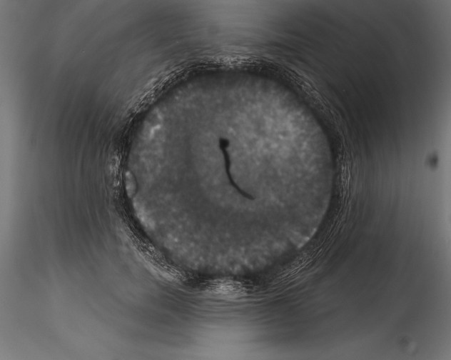 X0000114580750200911301334