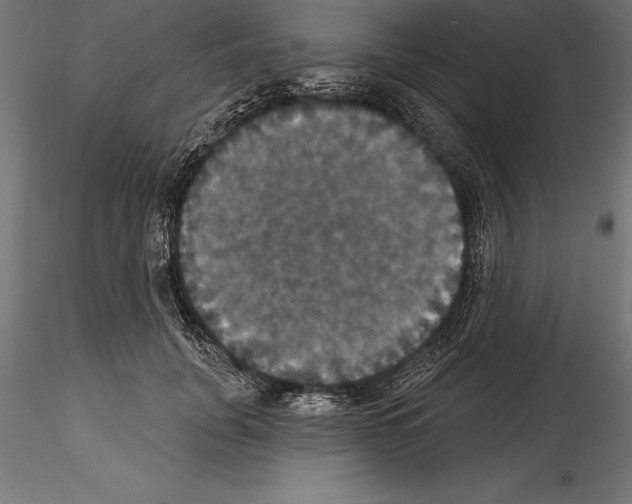 X0000114580751200911301334