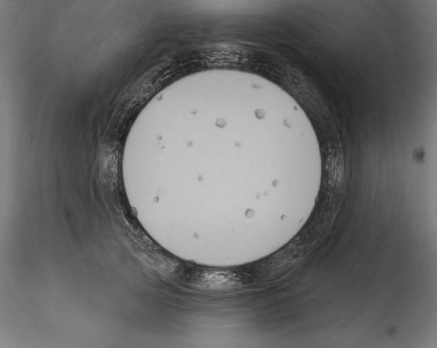 X0000114580753200911301334