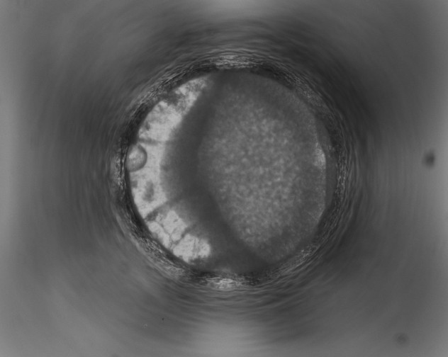 X0000114580755200911301334