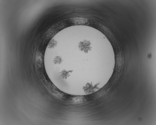 X0000114580761200911301334