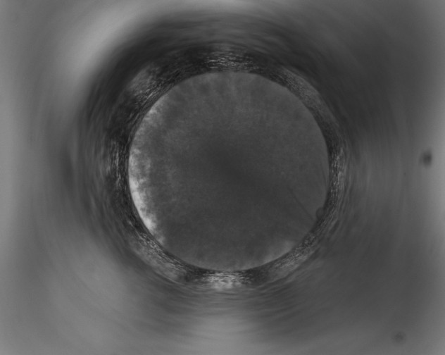 X0000114580762200911301334