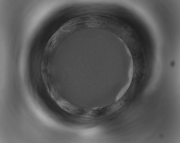 X0000114580765200911301334