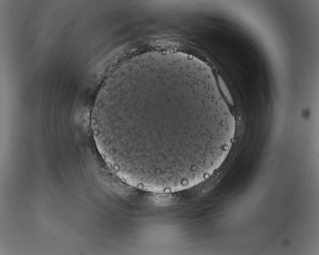 X0000114580767200911301334