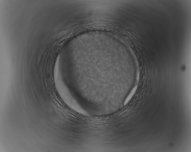 X0000114580769200911301334