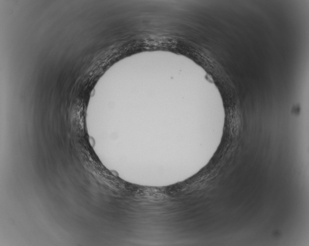 X0000114580770200911301334