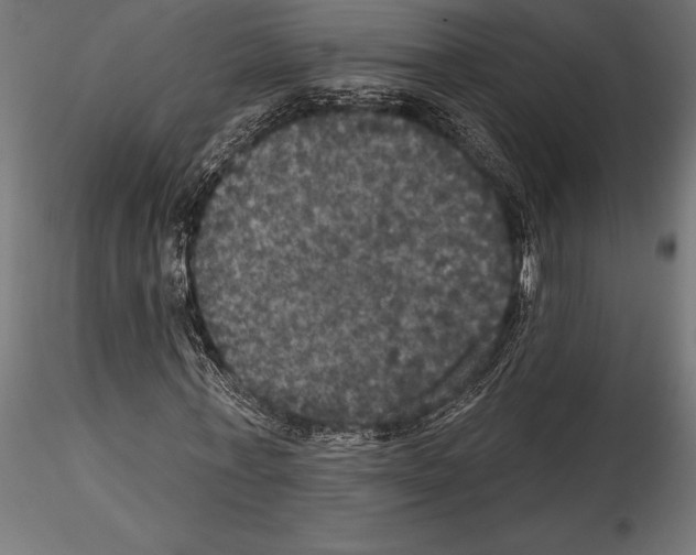 X0000114580771200911301334