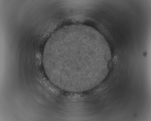 X0000114580772200911301334