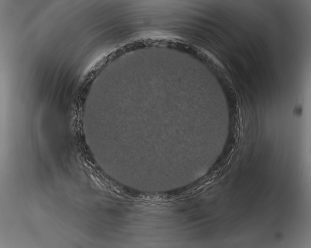 X0000114580775200911301334