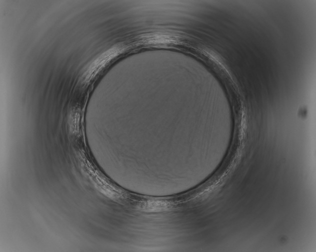 X0000114580777200911301334