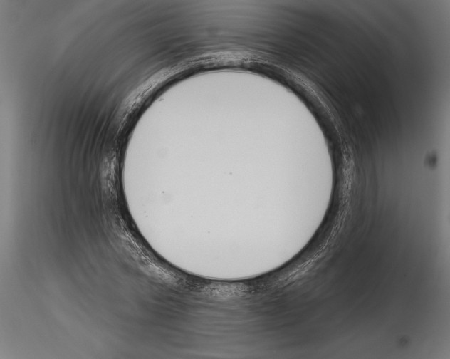 X0000114580778200911301334