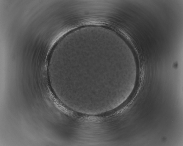 X0000114580779200911301334