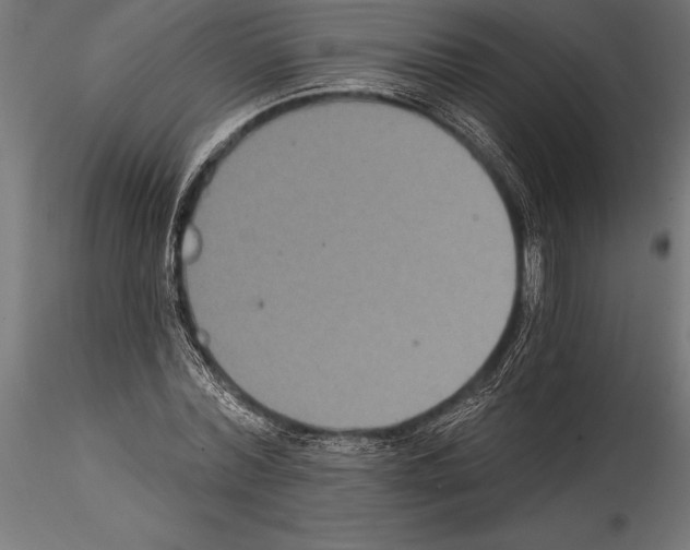 X0000114580780200911301334