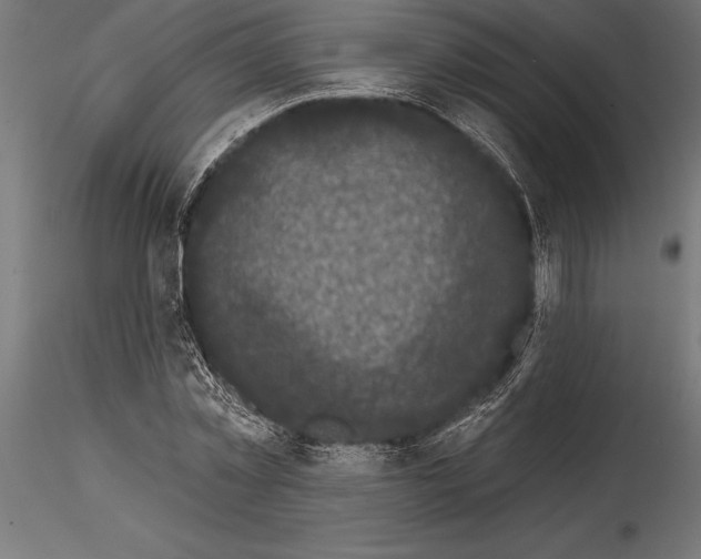 X0000114580781200911301334